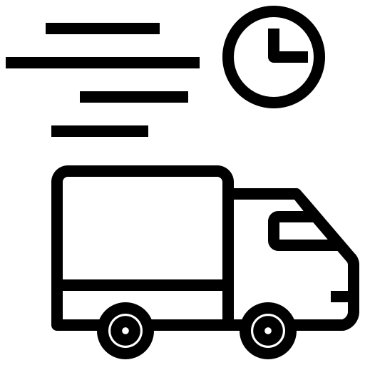 Schneller und Expressversand